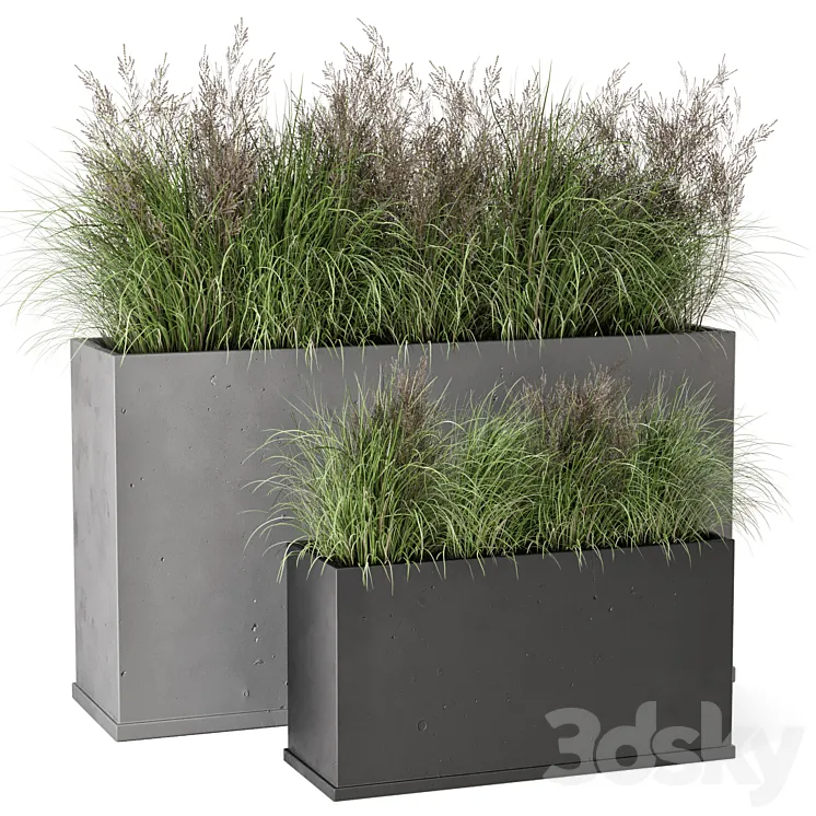 Outdoor Plants Bush in rusty Concrete Pot – Set 565 3DS Max