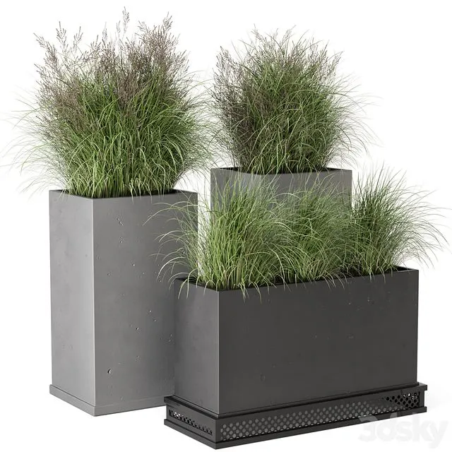 Outdoor Plants Bush in rusty Concrete Pot – Set 665 3dsMax Model