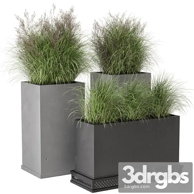 Outdoor plants bush in rusty concrete pot – set 665