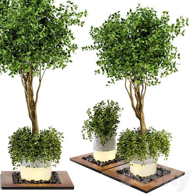 Outdoor Plants bush & Tree Combination of wood & concrete Pot – Garden Set 45 3DS Max Model