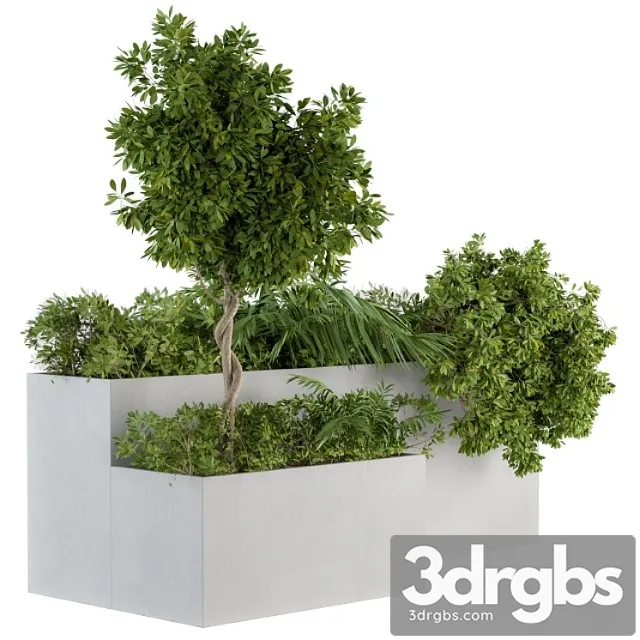 Outdoor Plants Concrete Box Set 45 3dsmax Download