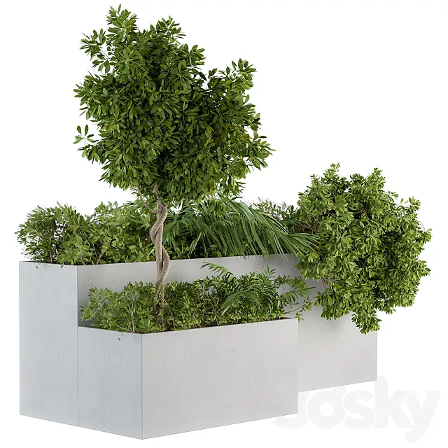 outdoor Plants Concrete Box – Set 45 3DS Max Model