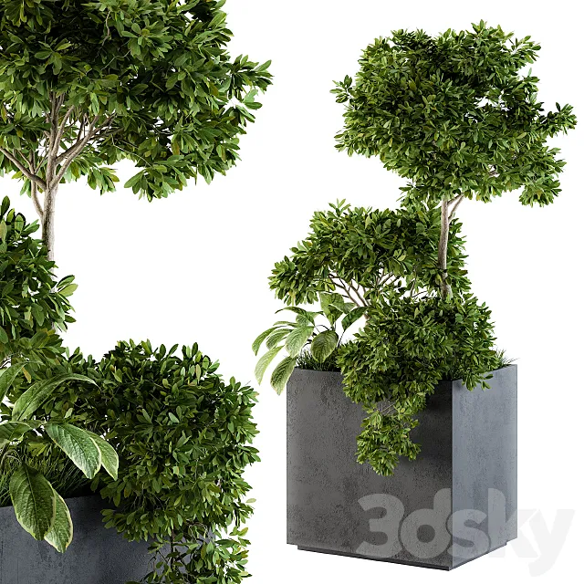 Outdoor Plants Concrete Box – Set 58 3ds Max