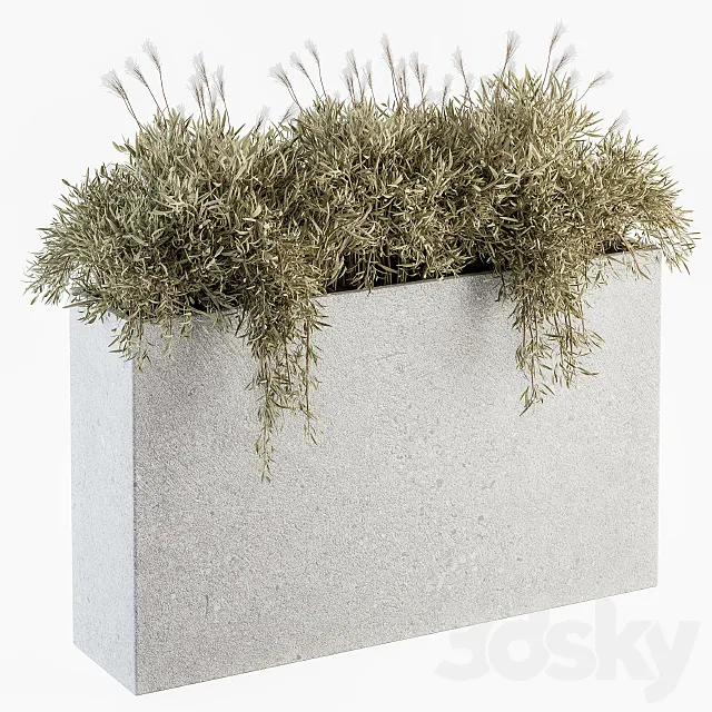 Outdoor Plants in Concrete Plant Box – Set 165 3ds Max