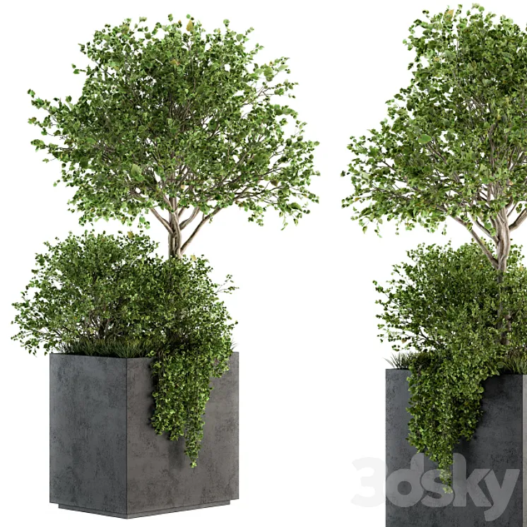 Outdoor Plants in Concrete Plant Box – Set 93 3DS Max