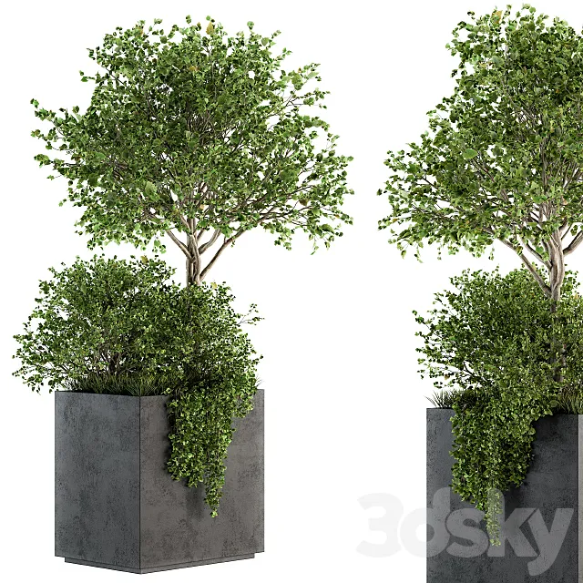 Outdoor Plants in Concrete Plant Box – Set 93 3DSMax File