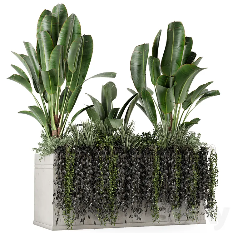 Outdoor Plants in Concrete Pot-Set 519 3DS Max Model