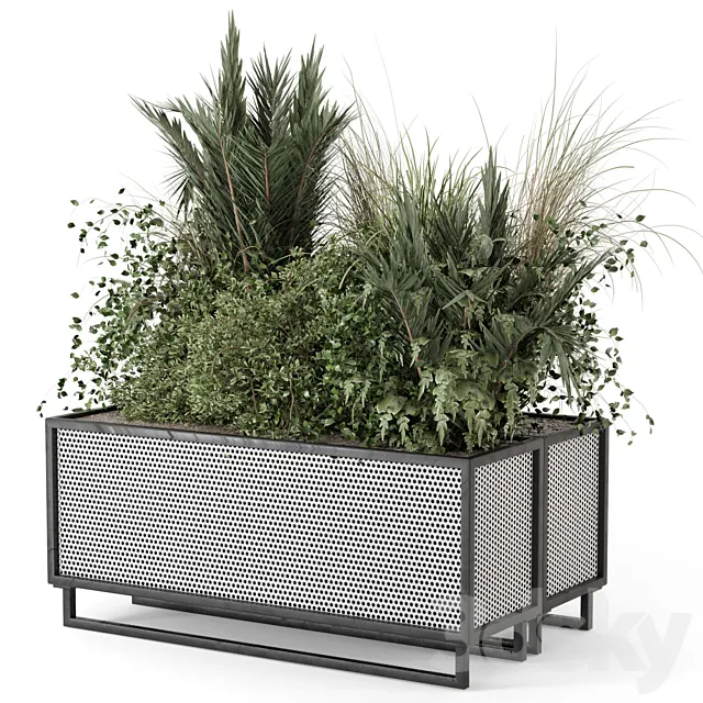 Outdoor Plants in Metal Pots – Set 2086 3ds Max