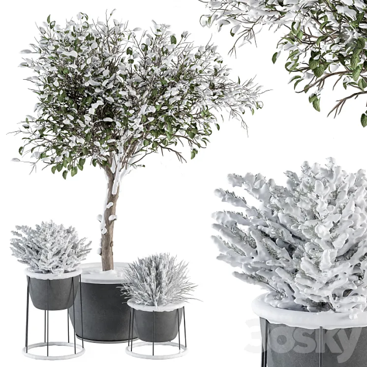 Outdoor Plants in Pot Snowy – Set 346 3DS Max Model