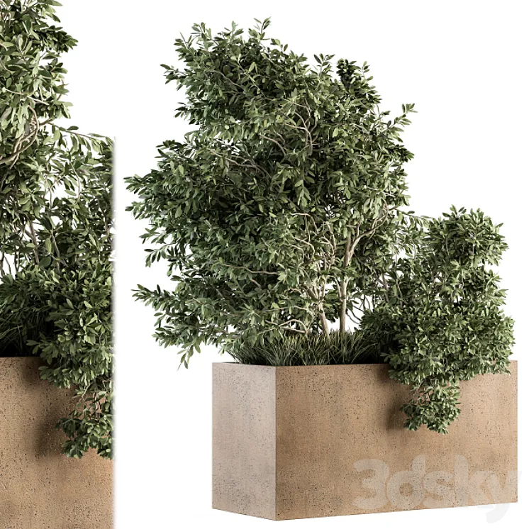 Outdoor Plants Olive – Set 82 3DS Max