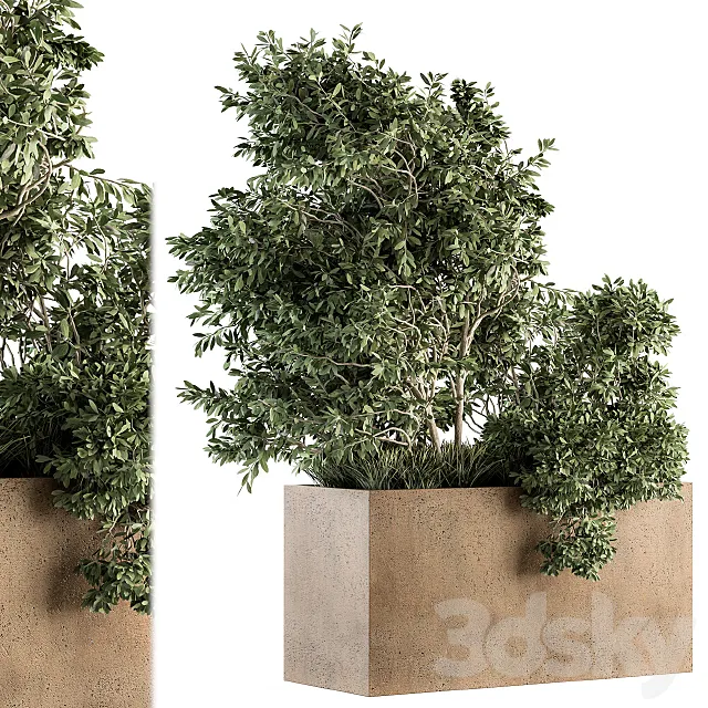 Outdoor Plants Olive – Set 82 3DSMax File