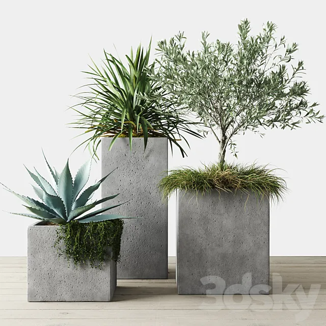 Outdoor Plants Set in Pottery Barn planters 3ds Max