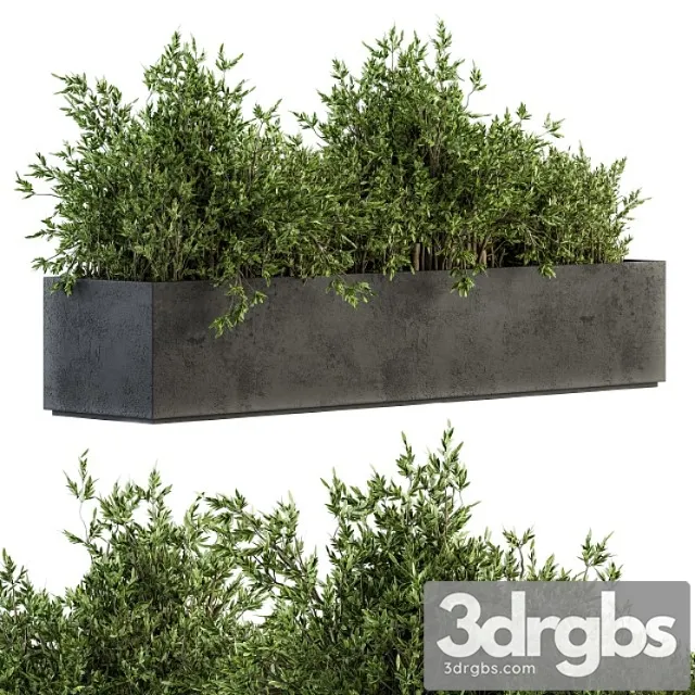 Outdoor Plants Tree In Concrete Box Set 126 3dsmax Download