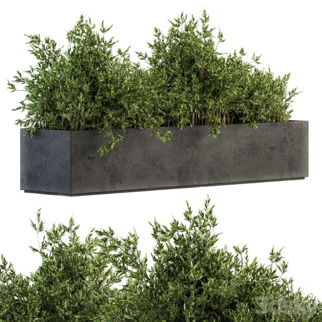 Outdoor Plants tree in Concrete Box – Set 126 3dsMax Model