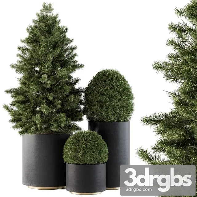 Outdoor plants tree in concrete pot – set 110