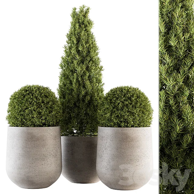 Outdoor Plants tree in Concrete Pot – Set 143 3ds Max