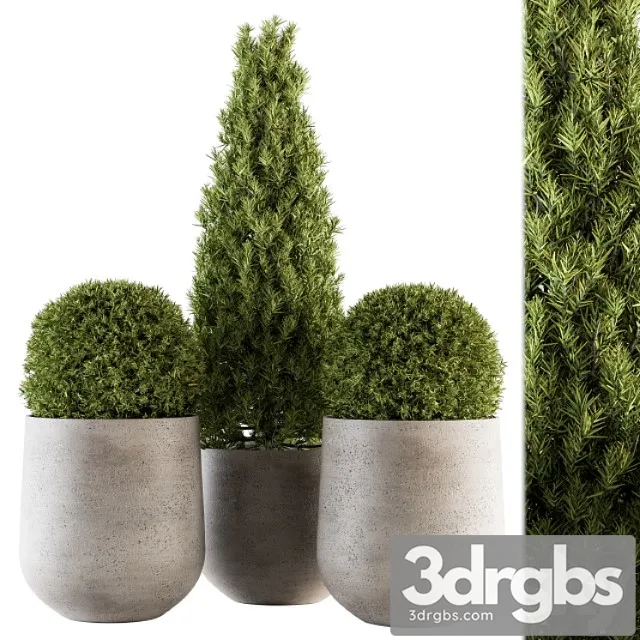 Outdoor plants tree in concrete pot – set 143