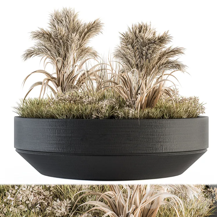Outdoor Plants tree in Concrete Pot – Set 147 3DS Max