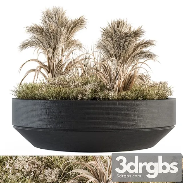 Outdoor plants tree in concrete pot – set 147