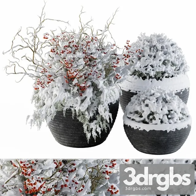 Outdoor plants tree in concrete pot snow – set 107