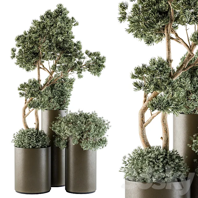 Outdoor Plants tree in Metal Pot – Set 102 3ds Max