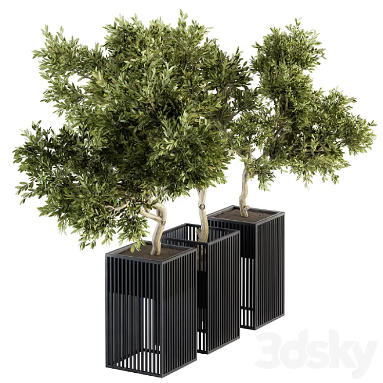 Outdoor Plants tree in Metal Pot – Set 134 3DS Max