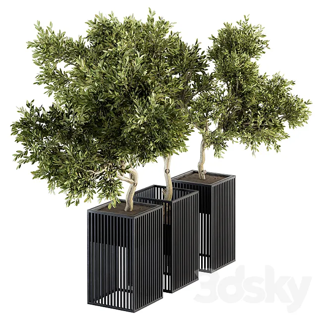 Outdoor Plants tree in Metal Pot – Set 134 3DSMax File