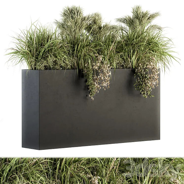 Outdoor Plants tree in Plant box – Set 124 3DS Max