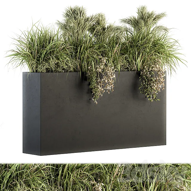 Outdoor Plants tree in Plant box – Set 124 3DSMax File