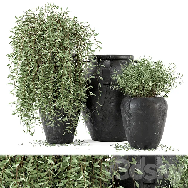 Outdoor Plants tree in rusty Concrete Pot – Set 2 3DSMax File
