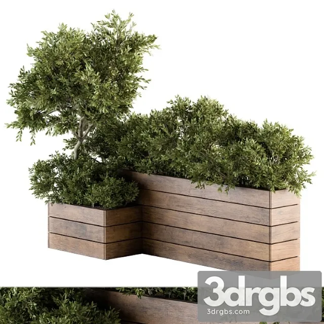 Outdoor Plants Tree in Wood Box Set 154 3dsmax Download
