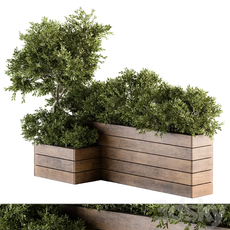 Outdoor Plants tree in Wood Box – Set 154 3DS Max