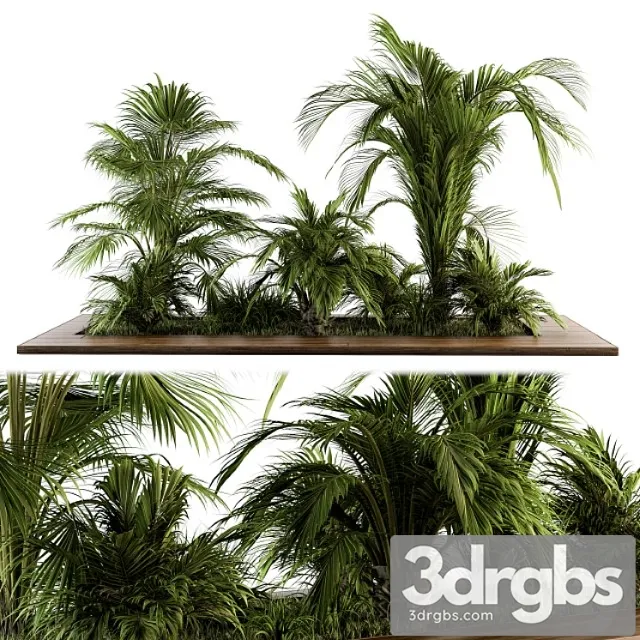 Outdoor plants tree tropical garden – set 143
