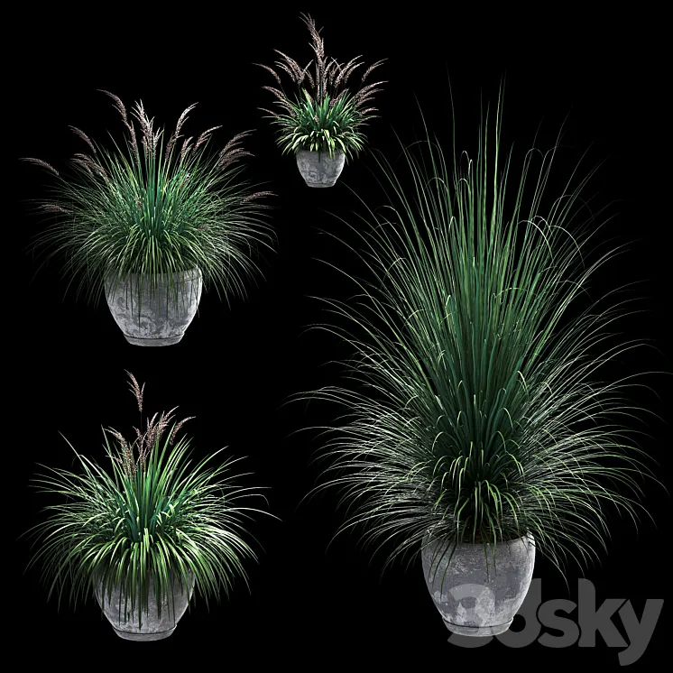 Outdoor potted plants. 4 models 3DS Max