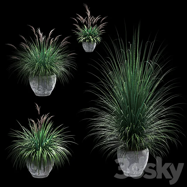Outdoor potted plants. 4 models 3DSMax File