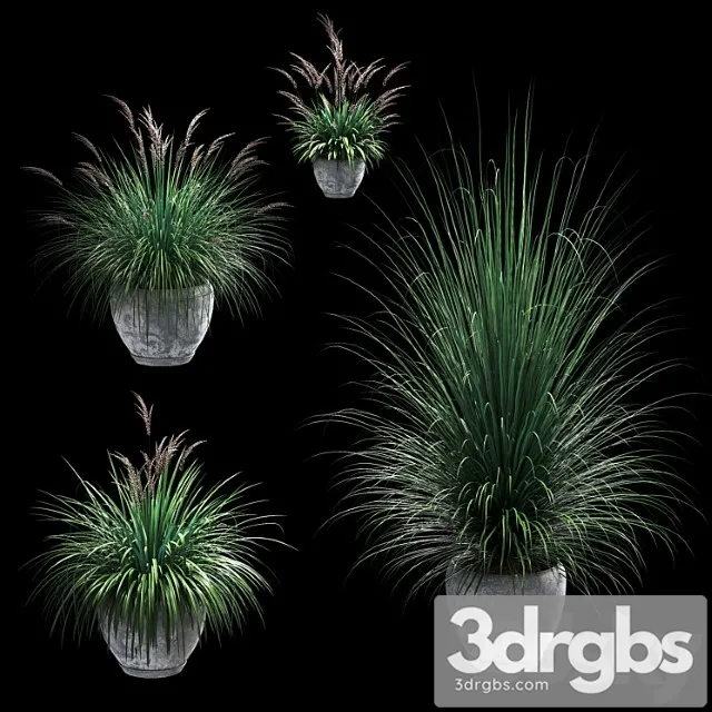 Outdoor potted plants. 4 models