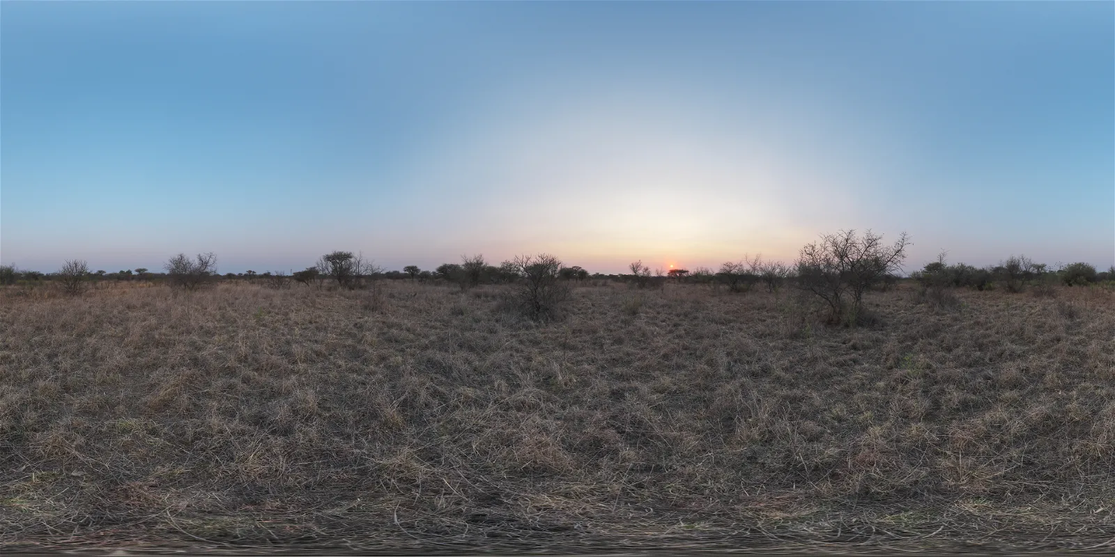 HDRI – Safari Sunset – natural light