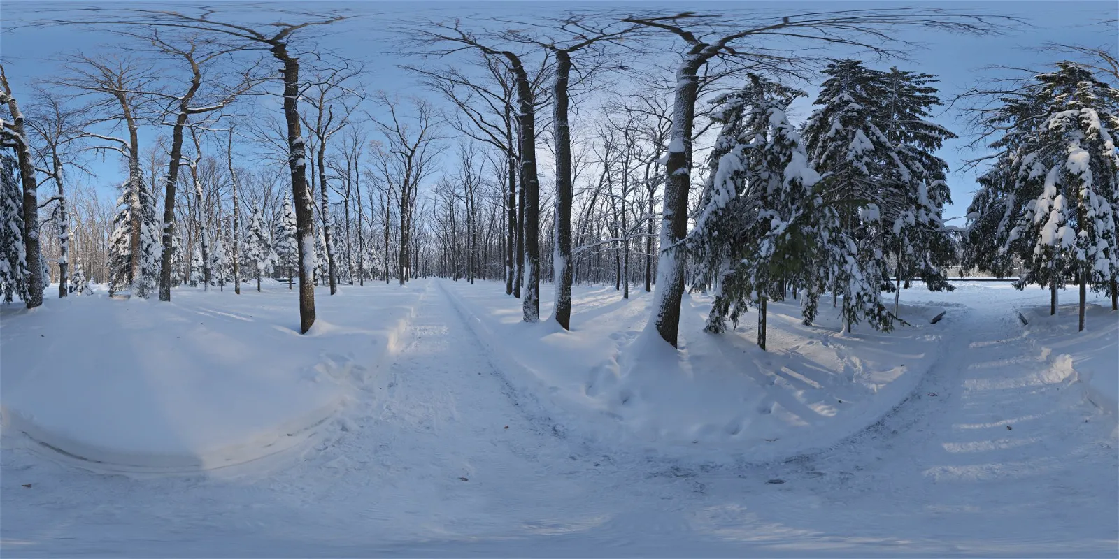 HDRI – Snowy Forest Path 01 – nature