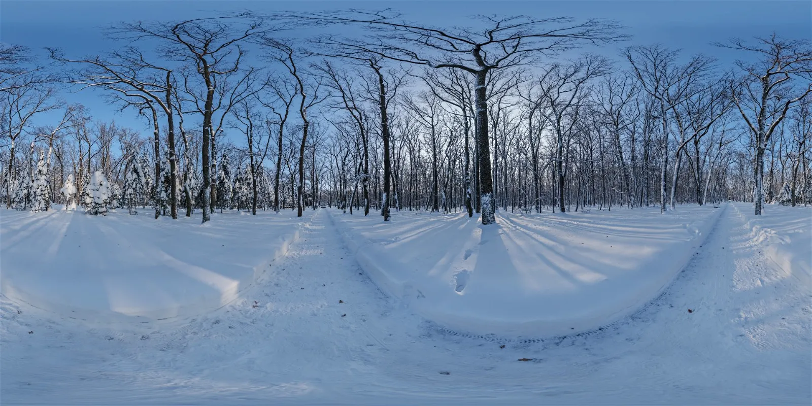 HDRI – Snowy Forest Path 02 – nature