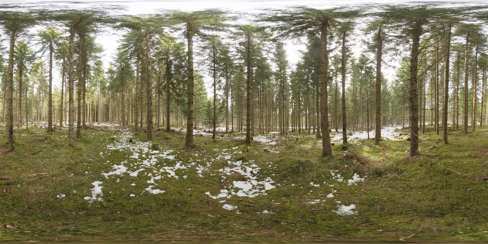 HDRI – Snowy Forest – low contrast