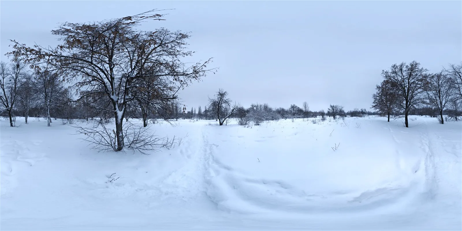 HDRI – Snowy Park 01 – nature