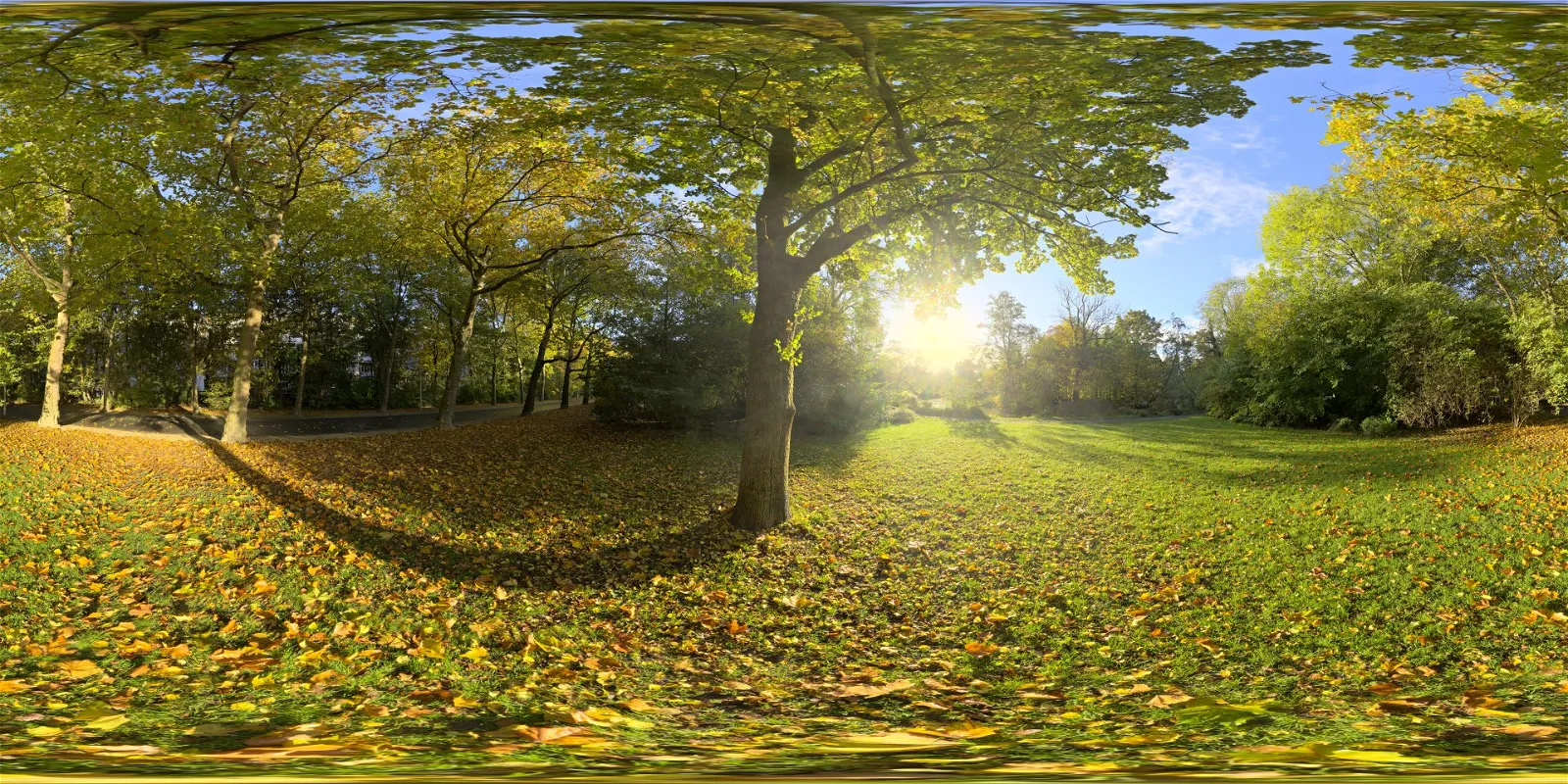 HDRI – Sunny Vondelpark – nature