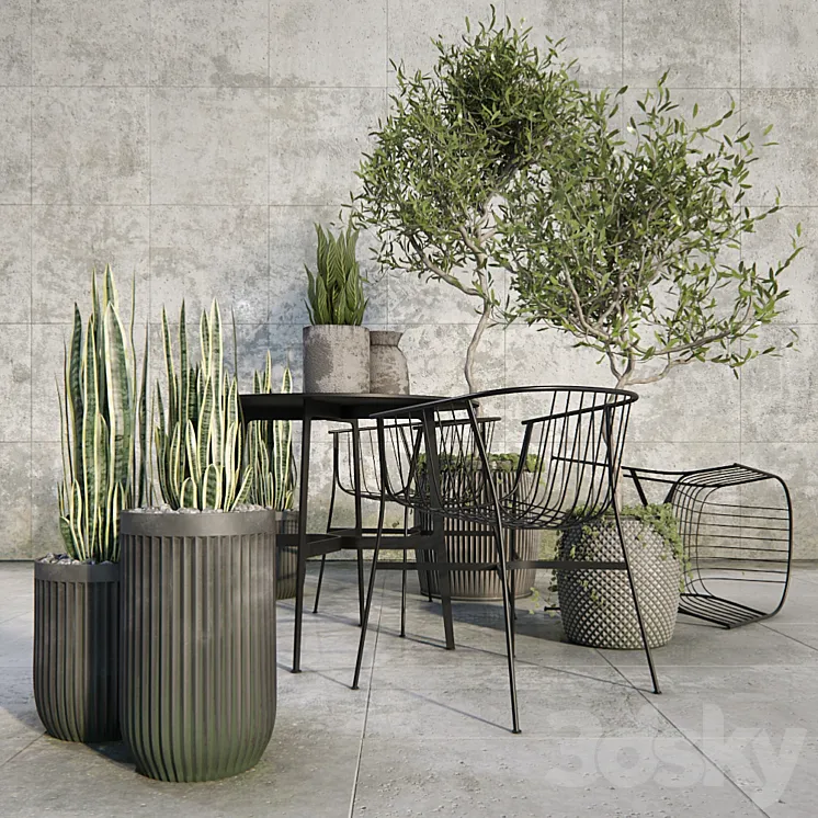 Outdoor_plant_set 3DS Max