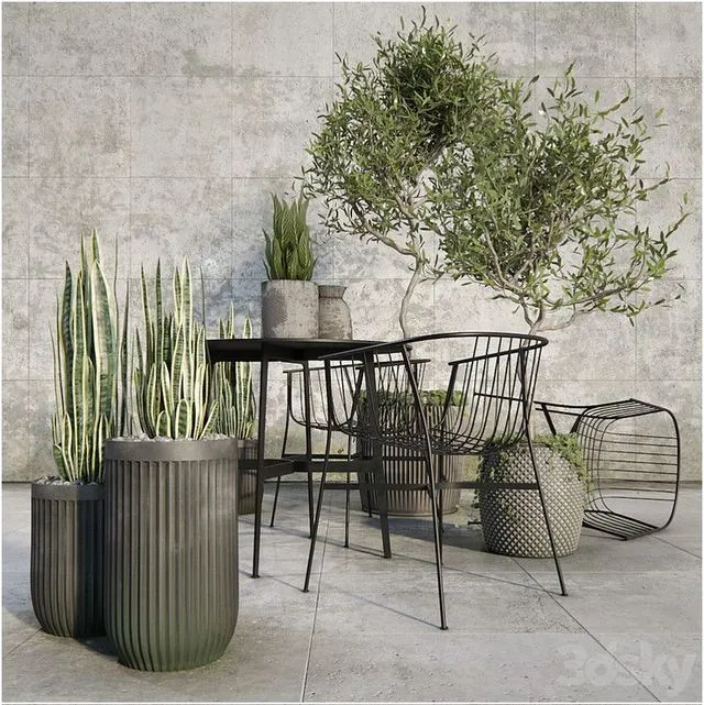 Outdoor_plant_set 3dsMax Model