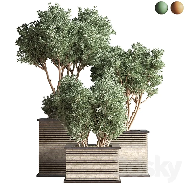 Outdoor_Plants_tree_22 3DS Max Model