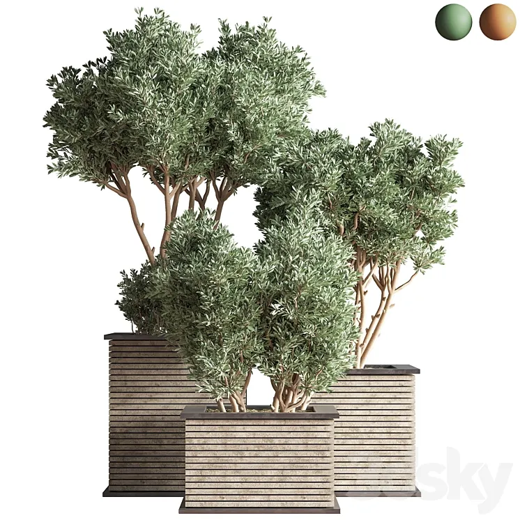 Outdoor_Plants_tree_22 3DS Max Model