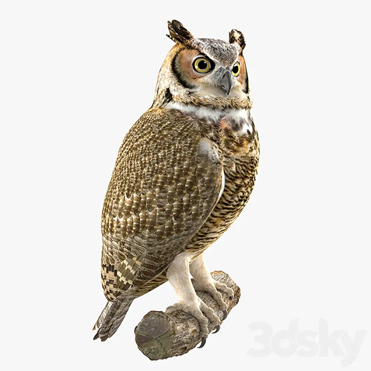 Owl 3DS Max