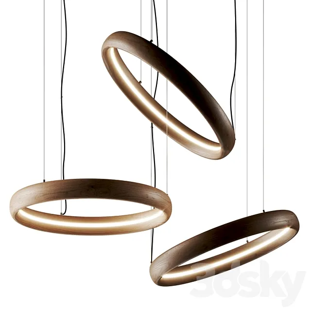 Ozzio Italia Ring Pendant Lamp 3DS Max Model