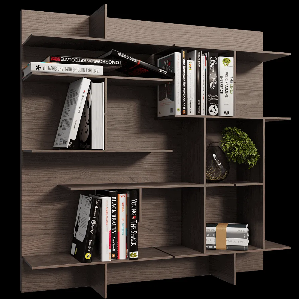 Pacini & Cappellini  – Modular wall bookcase Maze 3ds Max