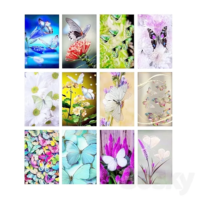 Paintings with butterflies and flowers. 3DS Max Model